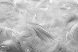 Bulk Goose Down feathers Stuffing - 10/90 White Goose Mix (10 Lbs.)
