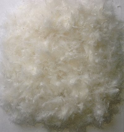 East Coast Bedding Bulk Goose Down and Feathers - 50/50 (5 Lbs.)